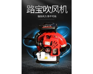 路寶吹風(fēng)機(jī)